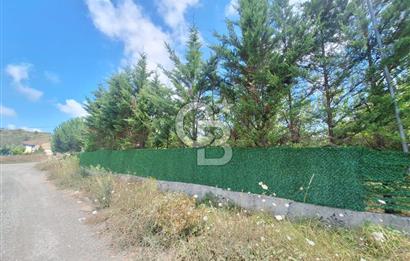İÇİNDE RUHSATLI 56 M² EV OLAN 875 M² TARLA