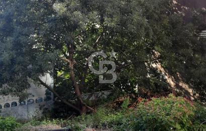ÜSKÜDAR BURHANİYE-KÜPLÜCE 401M2 FULL BOĞAZ MANZARALI ÖZEL ÇAPLI