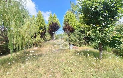 İÇİNDE RUHSATLI 56 M² EV OLAN 875 M² TARLA
