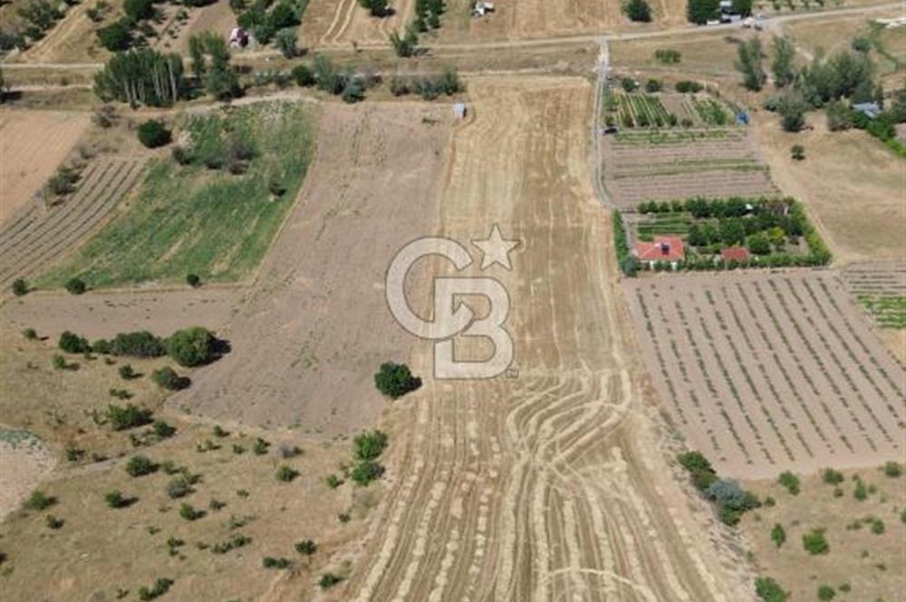 KAHRAMANKAZAN GÜVENÇ SATILIK 19,860 M2 TEK TAPU TARLA