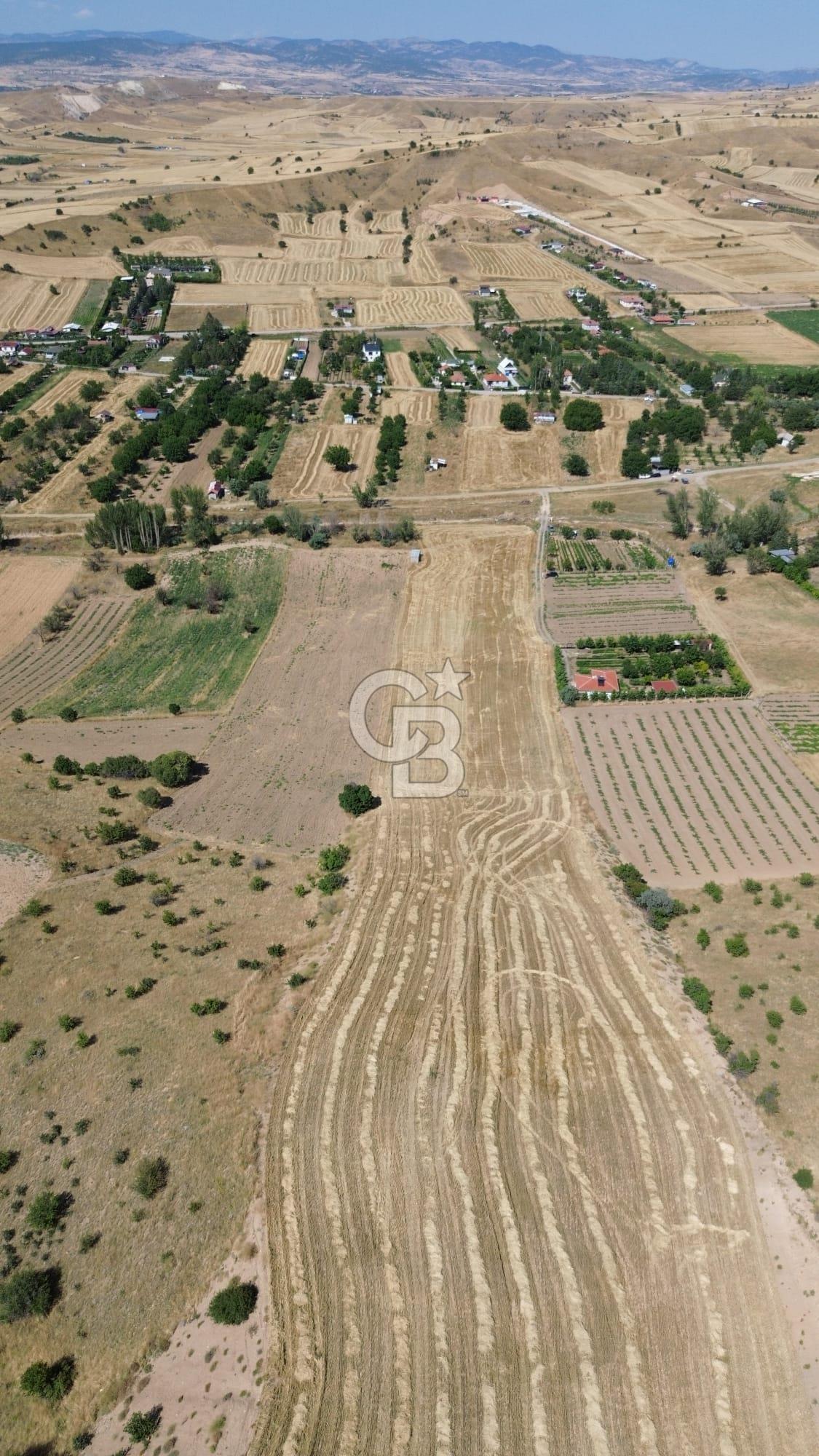 KAHRAMANKAZAN GÜVENÇ SATILIK 19,860 M2 TEK TAPU TARLA
