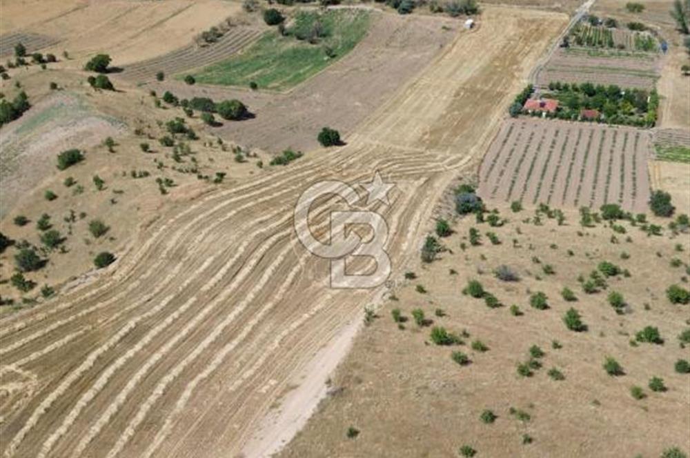 KAHRAMANKAZAN GÜVENÇ SATILIK 19,860 M2 TEK TAPU TARLA