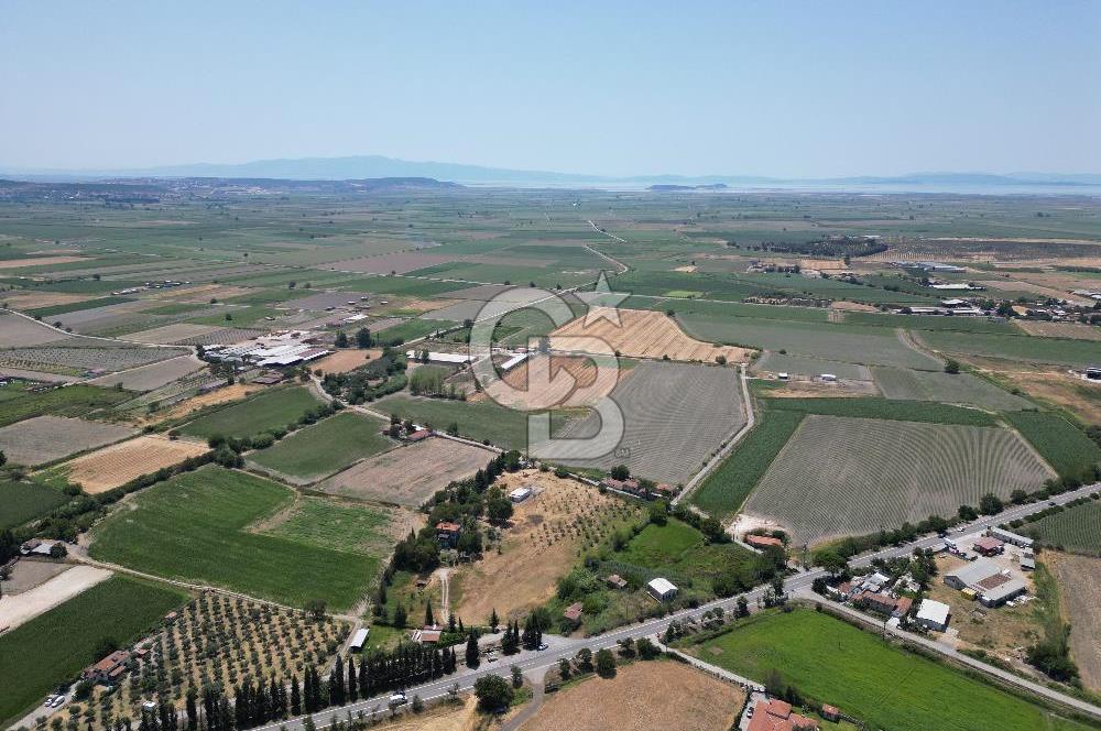 FOÇA-İZMİR KARAYOLU ÜZERİNDE SATILIK 15.503 M2 MÜSTAKİL TARLA