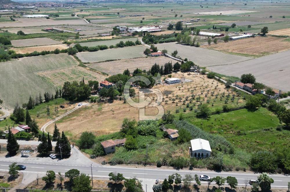 FOÇA-İZMİR KARAYOLU ÜZERİNDE SATILIK 15.503 M2 MÜSTAKİL TARLA