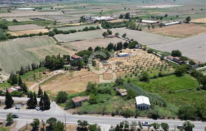 FOÇA-İZMİR KARAYOLU ÜZERİNDE SATILIK 15.503 M2 MÜSTAKİL TARLA