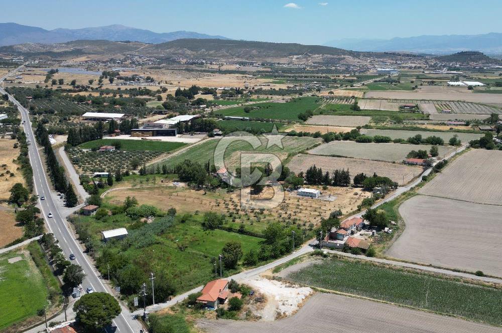 FOÇA-İZMİR KARAYOLU ÜZERİNDE SATILIK 15.503 M2 MÜSTAKİL TARLA