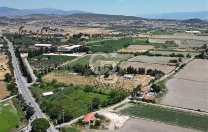 FOÇA-İZMİR KARAYOLU ÜZERİNDE SATILIK 15.503 M2 MÜSTAKİL TARLA