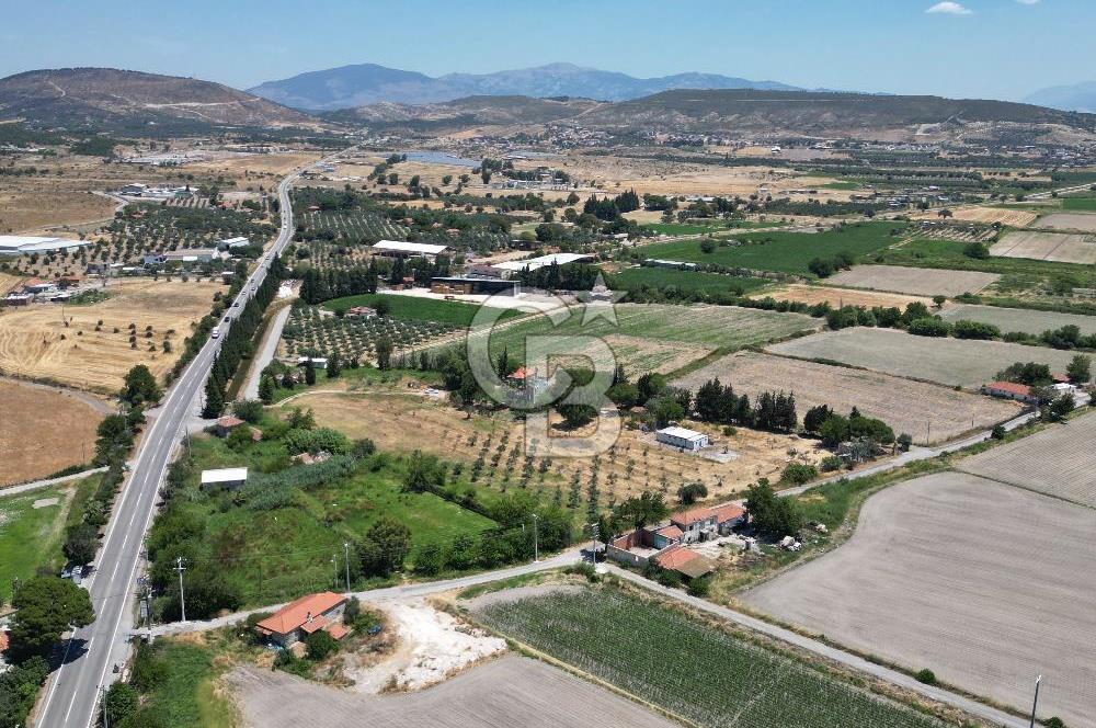 FOÇA-İZMİR KARAYOLU ÜZERİNDE SATILIK 15.503 M2 MÜSTAKİL TARLA