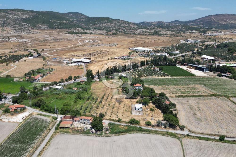 FOÇA-İZMİR KARAYOLU ÜZERİNDE SATILIK 15.503 M2 MÜSTAKİL TARLA
