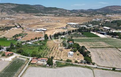 FOÇA-İZMİR KARAYOLU ÜZERİNDE SATILIK 15.503 M2 MÜSTAKİL TARLA