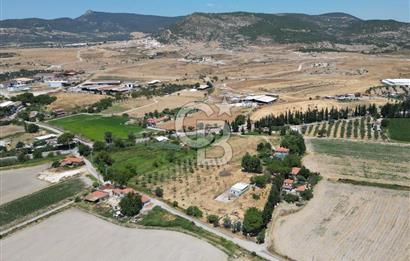 FOÇA-İZMİR KARAYOLU ÜZERİNDE SATILIK 15.503 M2 MÜSTAKİL TARLA
