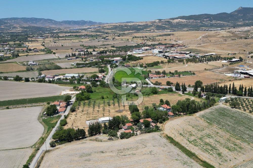 FOÇA-İZMİR KARAYOLU ÜZERİNDE SATILIK 15.503 M2 MÜSTAKİL TARLA