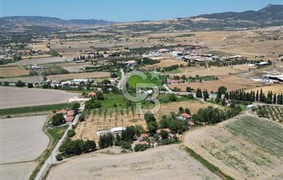 FOÇA-İZMİR KARAYOLU ÜZERİNDE SATILIK 15.503 M2 MÜSTAKİL TARLA