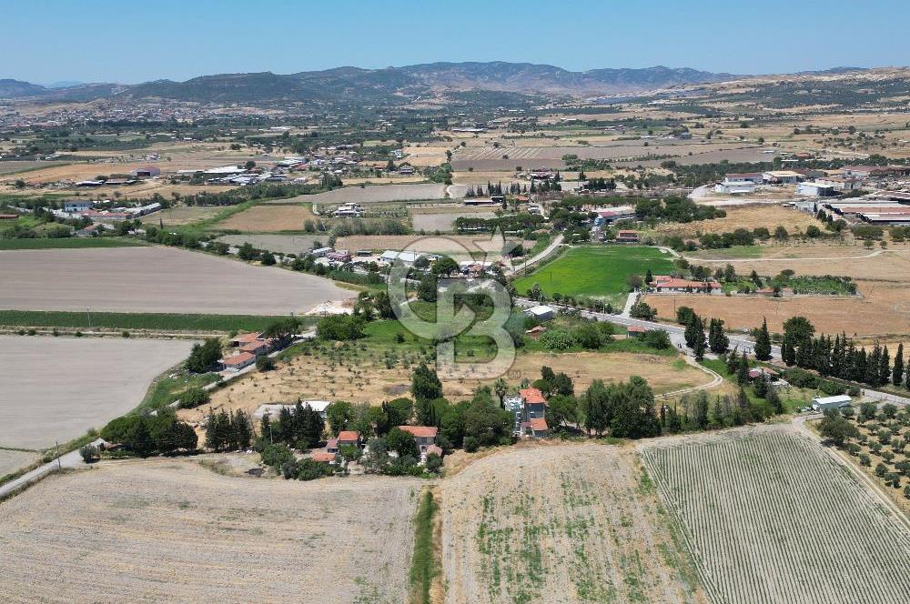 FOÇA-İZMİR KARAYOLU ÜZERİNDE SATILIK 15.503 M2 MÜSTAKİL TARLA