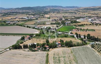 FOÇA-İZMİR KARAYOLU ÜZERİNDE SATILIK 15.503 M2 MÜSTAKİL TARLA