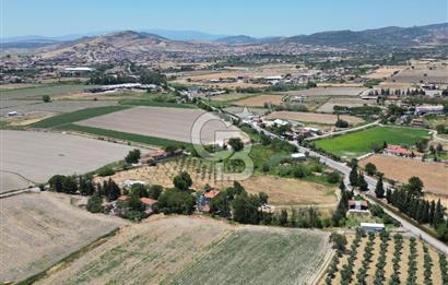 FOÇA-İZMİR KARAYOLU ÜZERİNDE SATILIK 15.503 M2 MÜSTAKİL TARLA