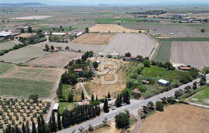 FOÇA-İZMİR KARAYOLU ÜZERİNDE SATILIK 15.503 M2 MÜSTAKİL TARLA