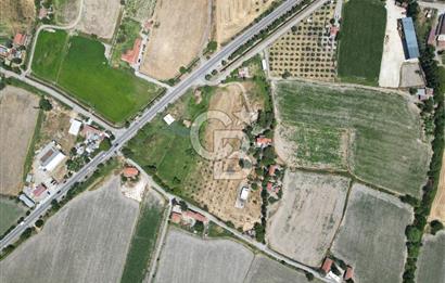 FOÇA-İZMİR KARAYOLU ÜZERİNDE SATILIK 15.503 M2 MÜSTAKİL TARLA