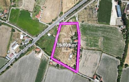 FOÇA-İZMİR KARAYOLU ÜZERİNDE SATILIK 15.503 M2 MÜSTAKİL TARLA