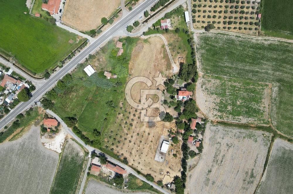 FOÇA-İZMİR KARAYOLU ÜZERİNDE SATILIK 15.503 M2 MÜSTAKİL TARLA