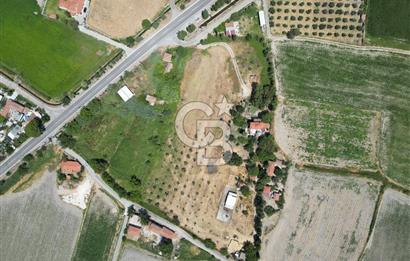 FOÇA-İZMİR KARAYOLU ÜZERİNDE SATILIK 15.503 M2 MÜSTAKİL TARLA