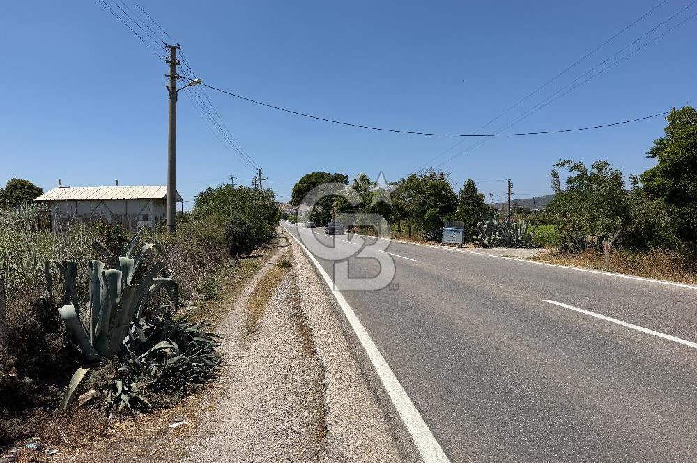 FOÇA-İZMİR KARAYOLU ÜZERİNDE SATILIK 15.503 M2 MÜSTAKİL TARLA