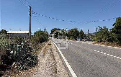 FOÇA-İZMİR KARAYOLU ÜZERİNDE SATILIK 15.503 M2 MÜSTAKİL TARLA