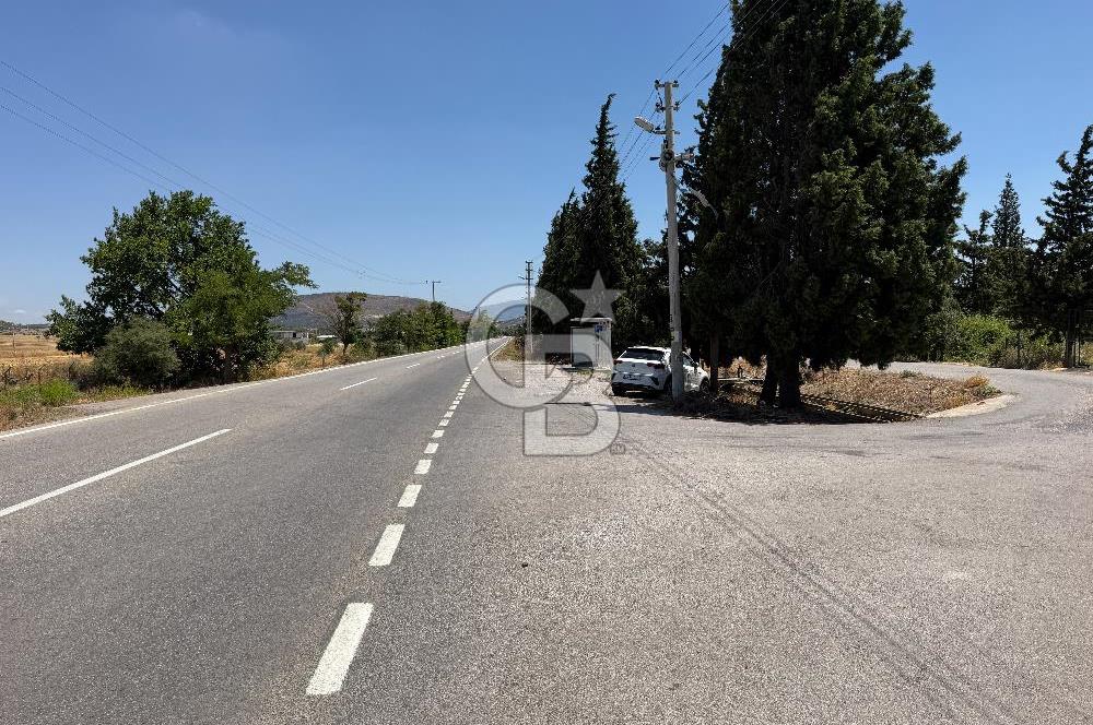 FOÇA-İZMİR KARAYOLU ÜZERİNDE SATILIK 15.503 M2 MÜSTAKİL TARLA