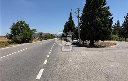 FOÇA-İZMİR KARAYOLU ÜZERİNDE SATILIK 15.503 M2 MÜSTAKİL TARLA