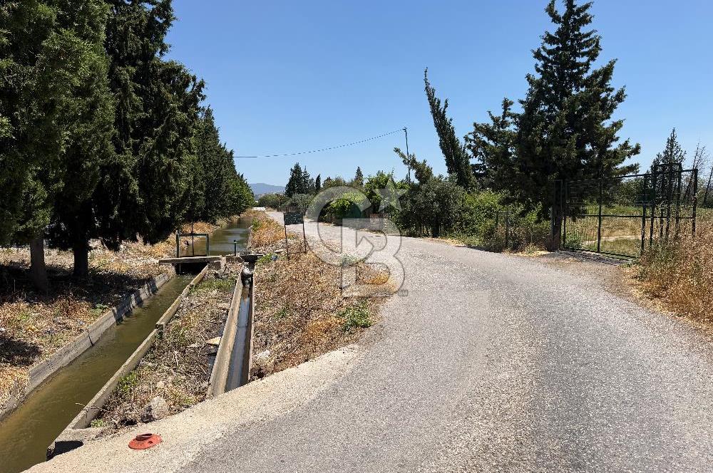 FOÇA-İZMİR KARAYOLU ÜZERİNDE SATILIK 15.503 M2 MÜSTAKİL TARLA