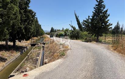 FOÇA-İZMİR KARAYOLU ÜZERİNDE SATILIK 15.503 M2 MÜSTAKİL TARLA