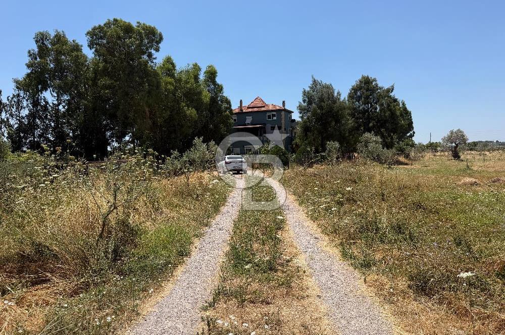 FOÇA-İZMİR KARAYOLU ÜZERİNDE SATILIK 15.503 M2 MÜSTAKİL TARLA