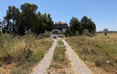 FOÇA-İZMİR KARAYOLU ÜZERİNDE SATILIK 15.503 M2 MÜSTAKİL TARLA