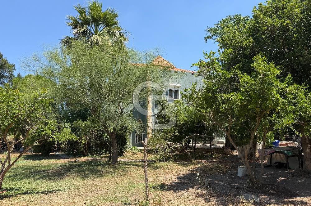 FOÇA-İZMİR KARAYOLU ÜZERİNDE SATILIK 15.503 M2 MÜSTAKİL TARLA