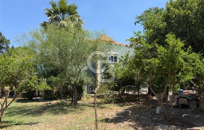 FOÇA-İZMİR KARAYOLU ÜZERİNDE SATILIK 15.503 M2 MÜSTAKİL TARLA