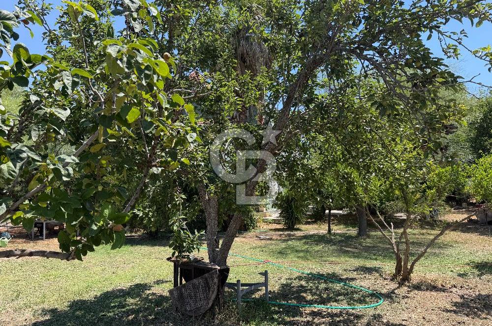 FOÇA-İZMİR KARAYOLU ÜZERİNDE SATILIK 15.503 M2 MÜSTAKİL TARLA