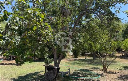 FOÇA-İZMİR KARAYOLU ÜZERİNDE SATILIK 15.503 M2 MÜSTAKİL TARLA