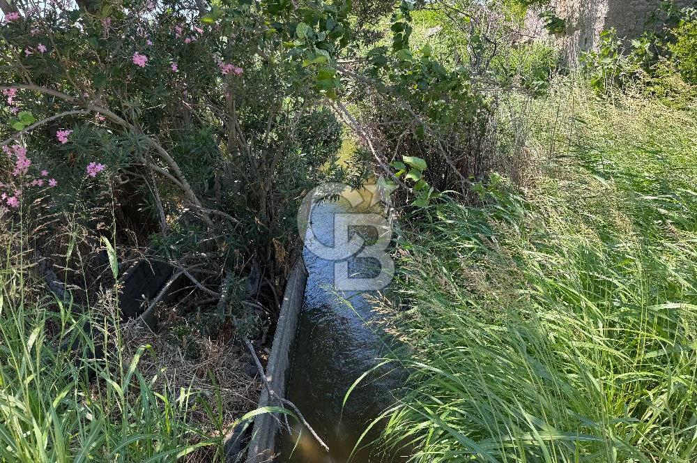 FOÇA-İZMİR KARAYOLU ÜZERİNDE SATILIK 15.503 M2 MÜSTAKİL TARLA