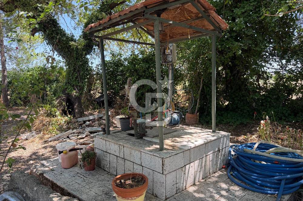 FOÇA-İZMİR KARAYOLU ÜZERİNDE SATILIK 15.503 M2 MÜSTAKİL TARLA