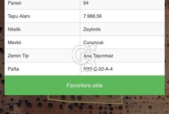 GAZİANTEP NİZİPTE SATILIK FISTIK BAHÇESİ - 1 - 366800