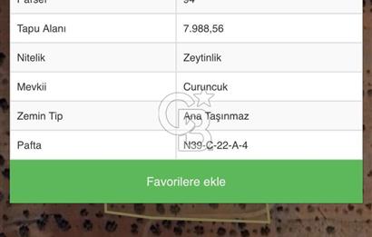 GAZİANTEP NİZİPTE SATILIK FISTIK BAHÇESİ
