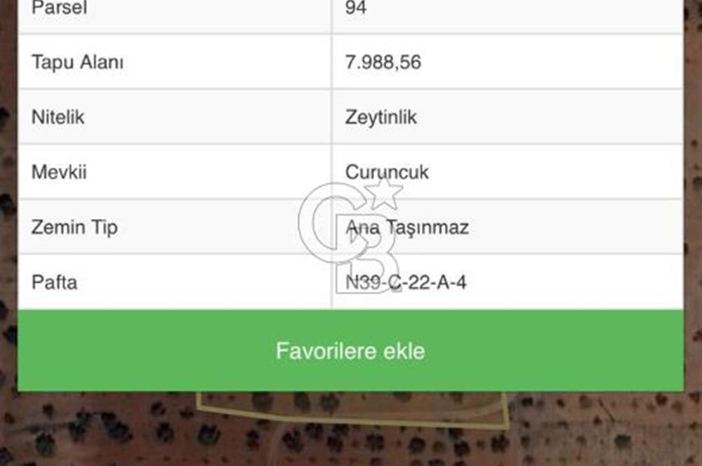 GAZİANTEP NİZİPTE SATILIK FISTIK BAHÇESİ