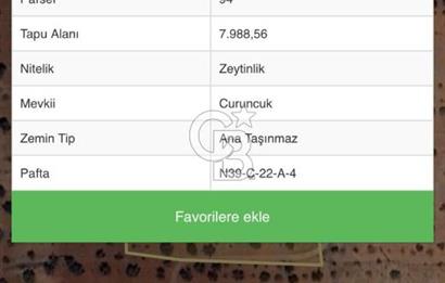 GAZİANTEP NİZİPTE SATILIK FISTIK BAHÇESİ