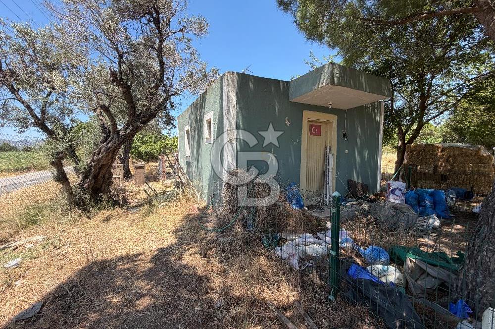 FOÇA-İZMİR KARAYOLU ÜZERİNDE SATILIK 15.503 M2 MÜSTAKİL TARLA