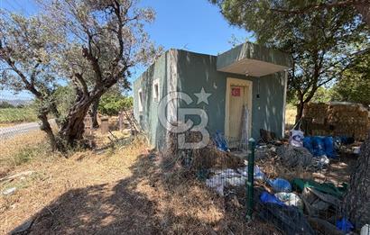 FOÇA-İZMİR KARAYOLU ÜZERİNDE SATILIK 15.503 M2 MÜSTAKİL TARLA