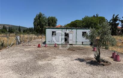 FOÇA-İZMİR KARAYOLU ÜZERİNDE SATILIK 15.503 M2 MÜSTAKİL TARLA