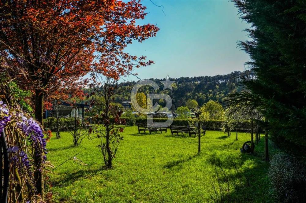 SATILIK ÇİFTLİK 5.782 m2 TAŞ DUVARLAR İLE ÇEVRİLi