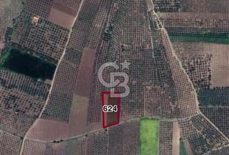 Manisa Akhisar Medar'da Satılık Arsa - 1 - 366776
