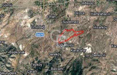 CB CITY'DEN EMİRDAĞ YAVUZ KÖYÜNDE SATILIK TARLA