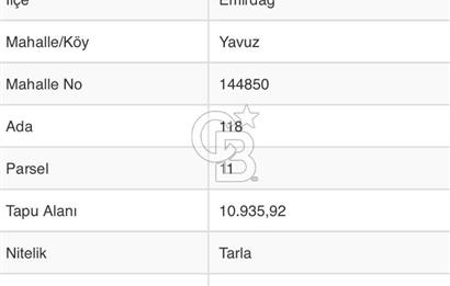 CB CITY'DEN EMİRDAĞ YAVUZ KÖYÜNDE SATILIK TARLA